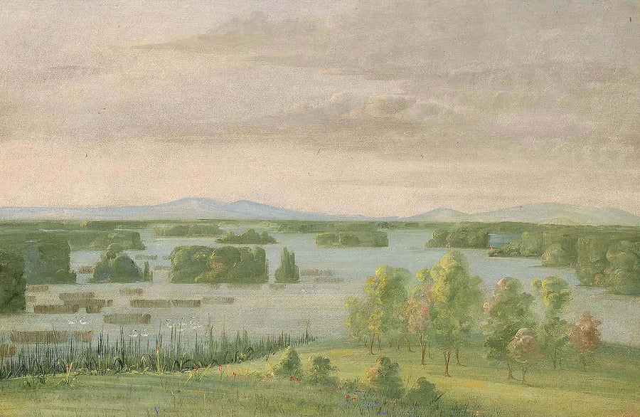 Lac du Cygne (Meer van de Zwanen), Bij de Coteau des Prairies - George Catlin

Source:
Lac du Cygne (Lac des Cygnes), Près du Coteau des Prairies - George Catlin