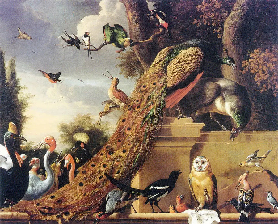 Langh heeft Den Koningh verlaten, of het concert van de vogels - Melchior de Hondecoeter