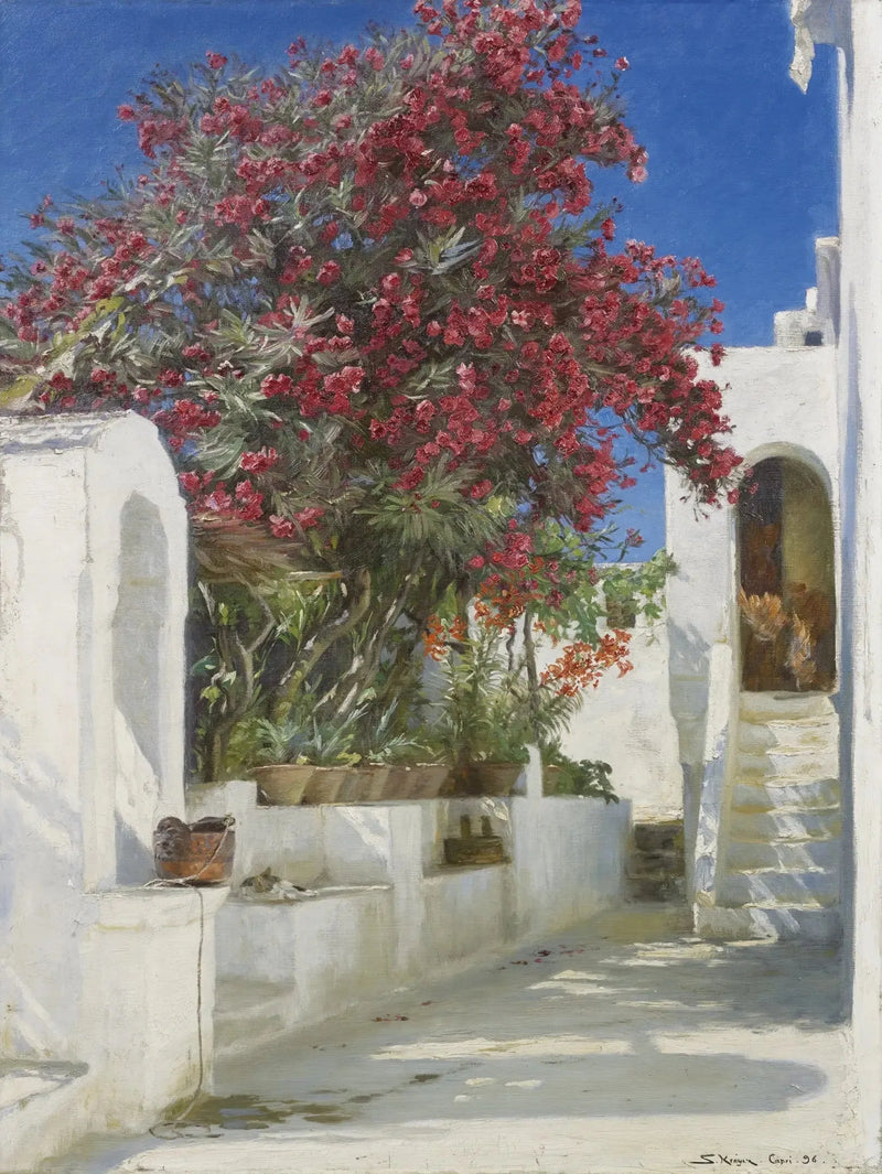 Rozenlaurier in bloei, Capri - Peder Severin Krøyer