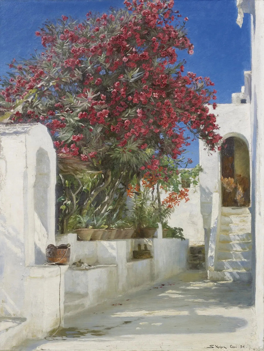 Rozenlaurier in bloei, Capri - Peder Severin Krøyer