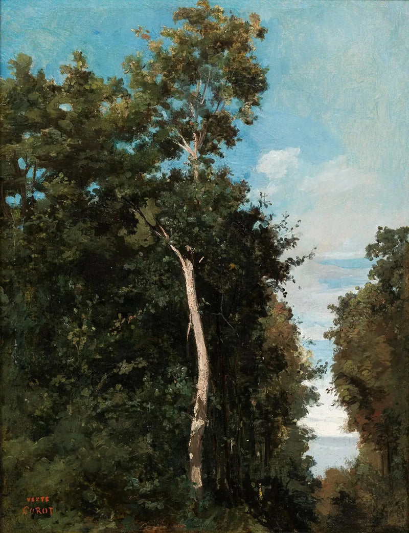 Het Hout op de Kust van Grace in Honfleur - Jean-Baptiste Camille Corot