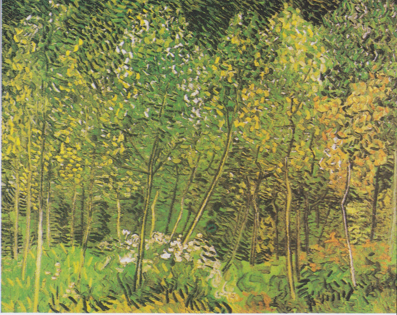 Het Bosje - Vincent van Gogh