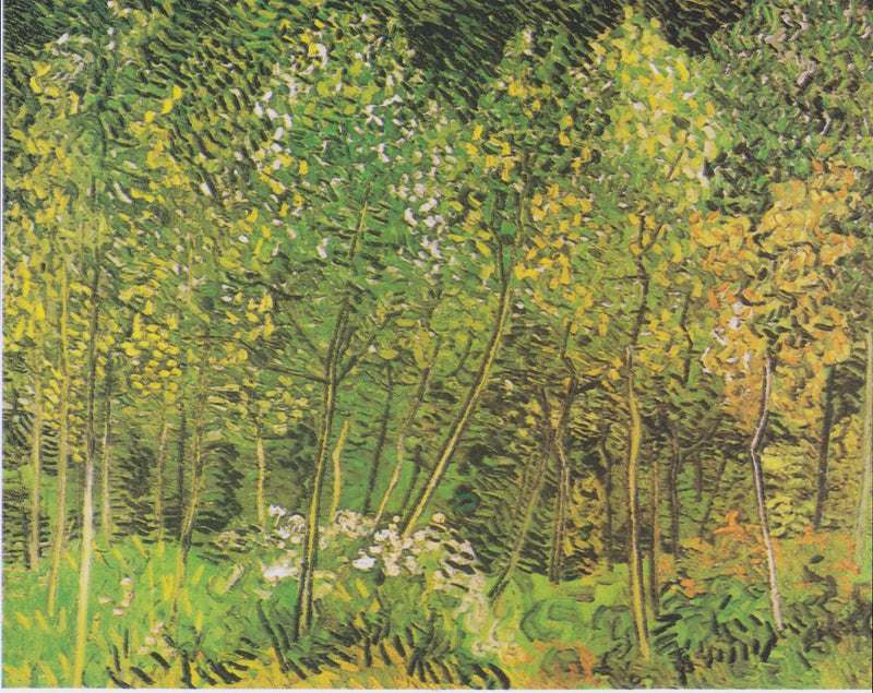 Het Bosje - Vincent van Gogh