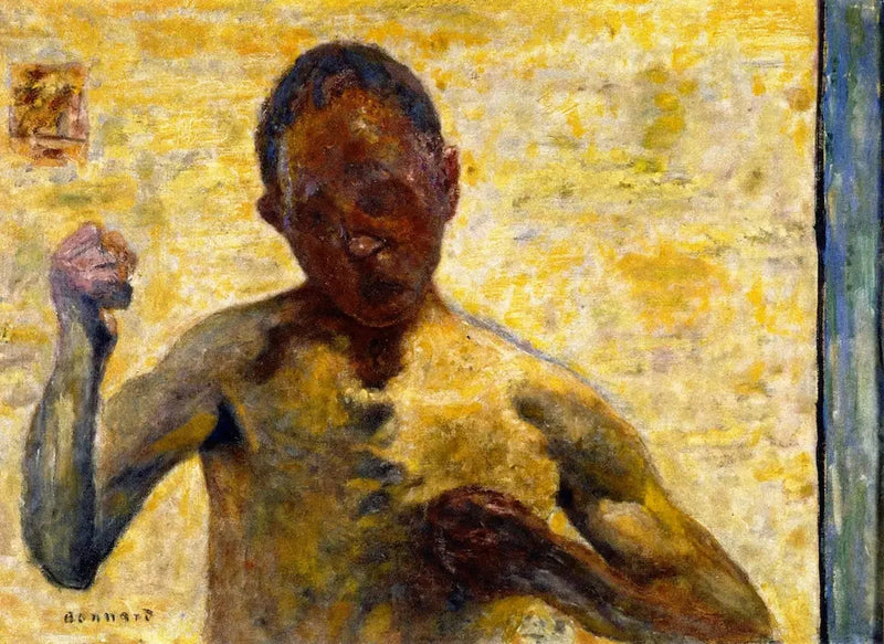 De Bokser - Pierre Bonnard