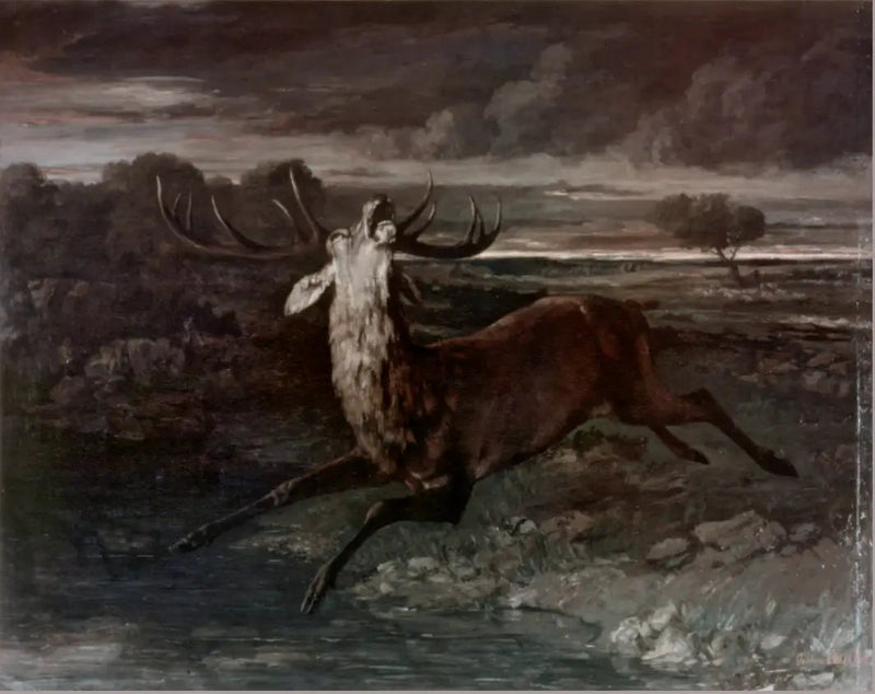 Het Hert in het Water - Gustave Courbet