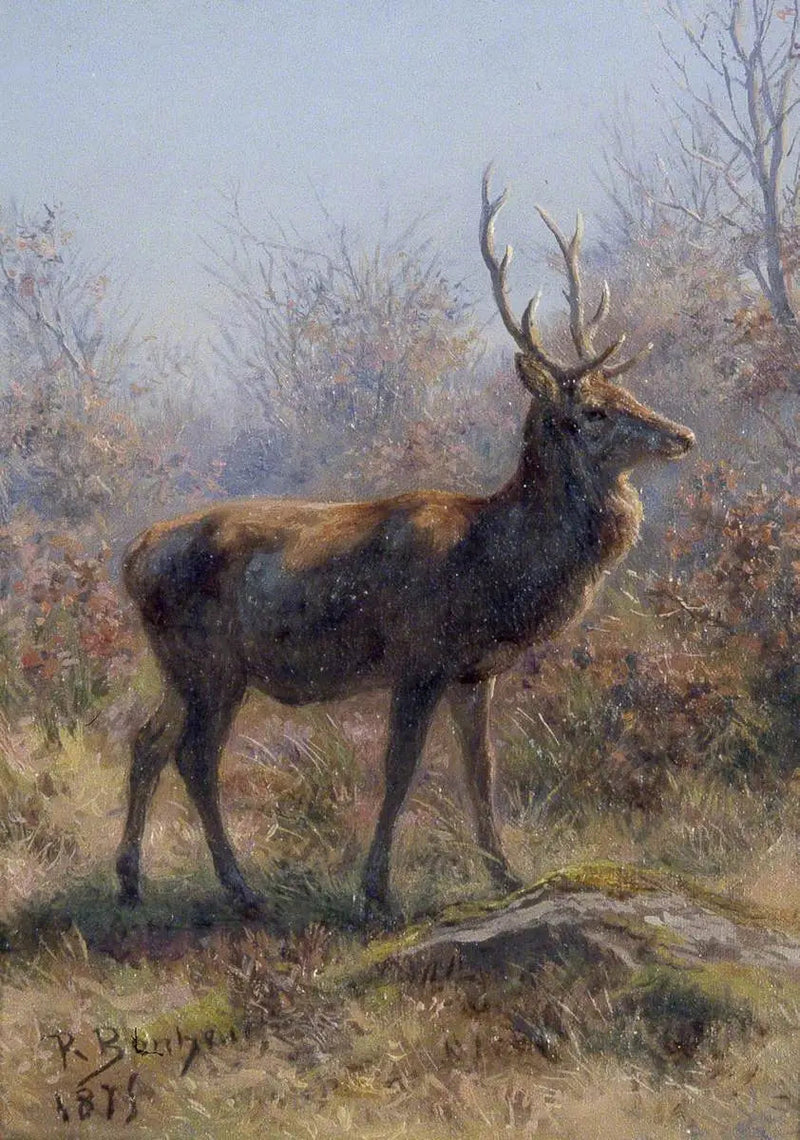 De Hert - Rosa Bonheur