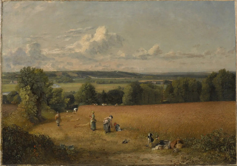 Het graanveld - John Constable