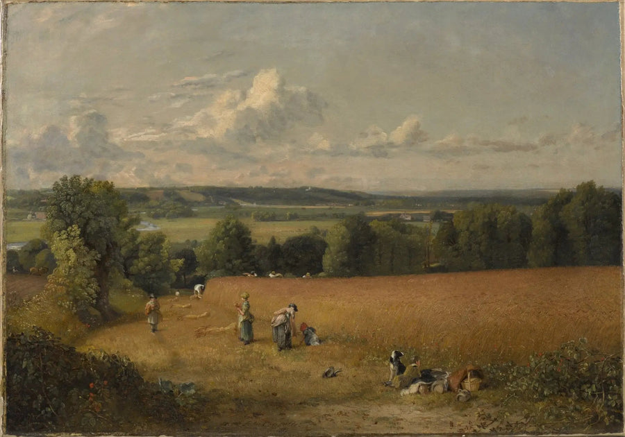 Het graanveld - John Constable