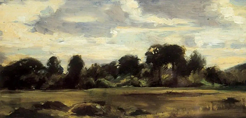 Het veld bij het bos - John Constable