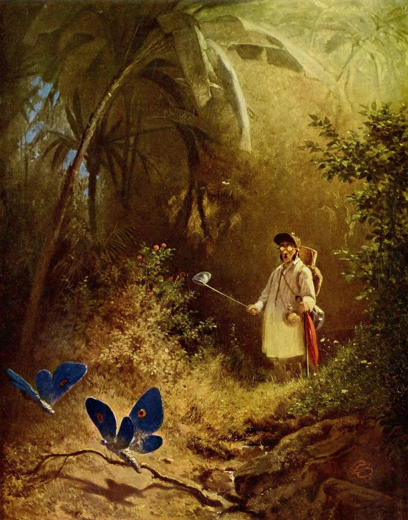 De Vlinderjager - Carl Spitzweg