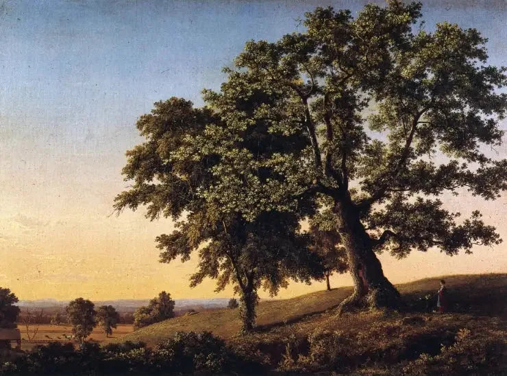 De Eik van de Verdrag - Frederic Edwin Church

Source:
Le Chêne de la Charte - Frederic Edwin Church