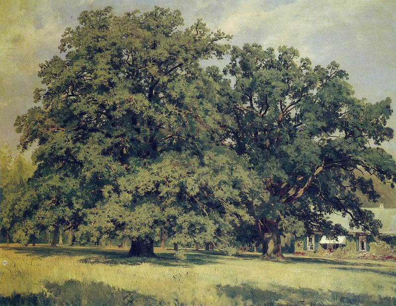 De eik van Mordvinovo - Ivan Chichkine

Source:
Le chêne de Mordvinovo - Ivan Chichkine