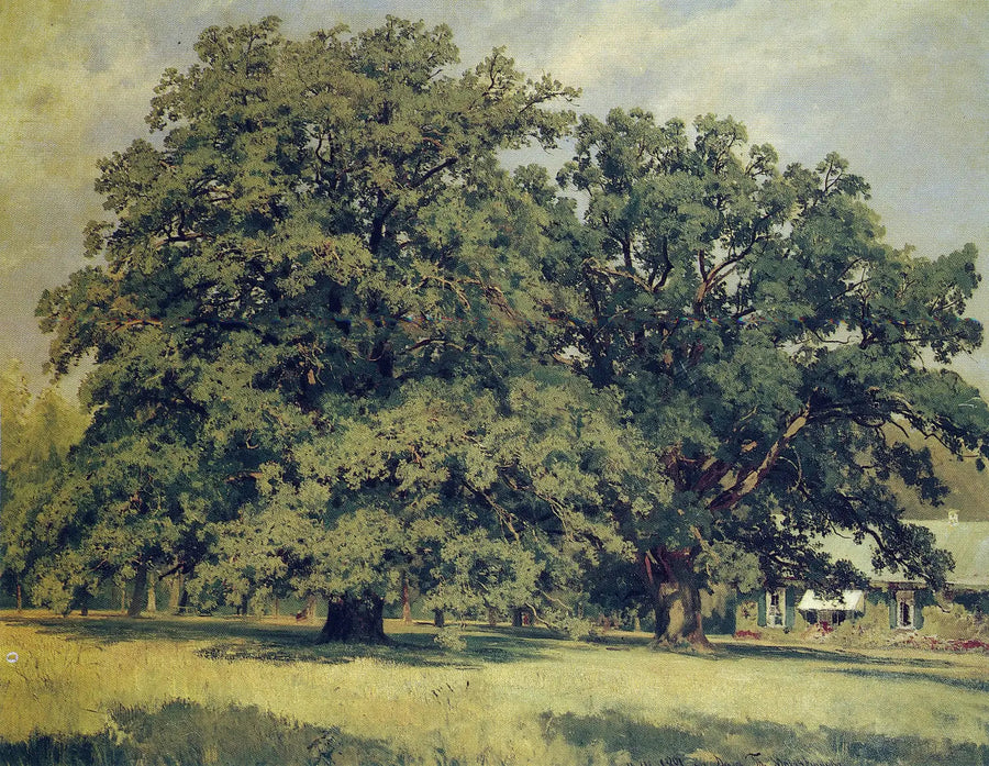 De eik van Mordvinovo - Ivan Chichkine

Source:
Le chêne de Mordvinovo - Ivan Chichkine