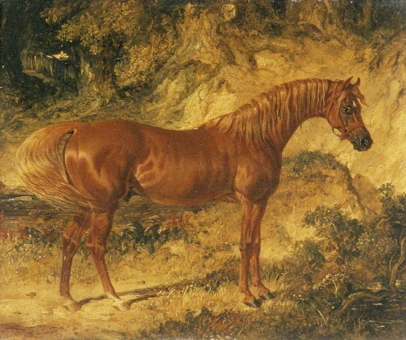 De renpaard « Actéon » - John Frederick Herring, Sr.

Source:
Le cheval de course « Actéon » - John Frederick Herring, Sr.