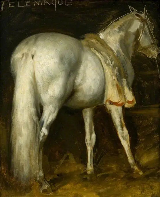 Het grijze paard 