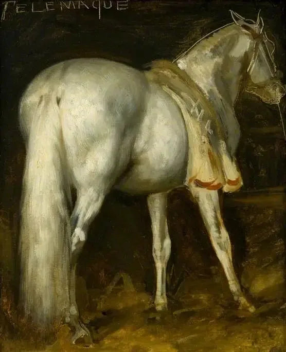 Het grijze paard 