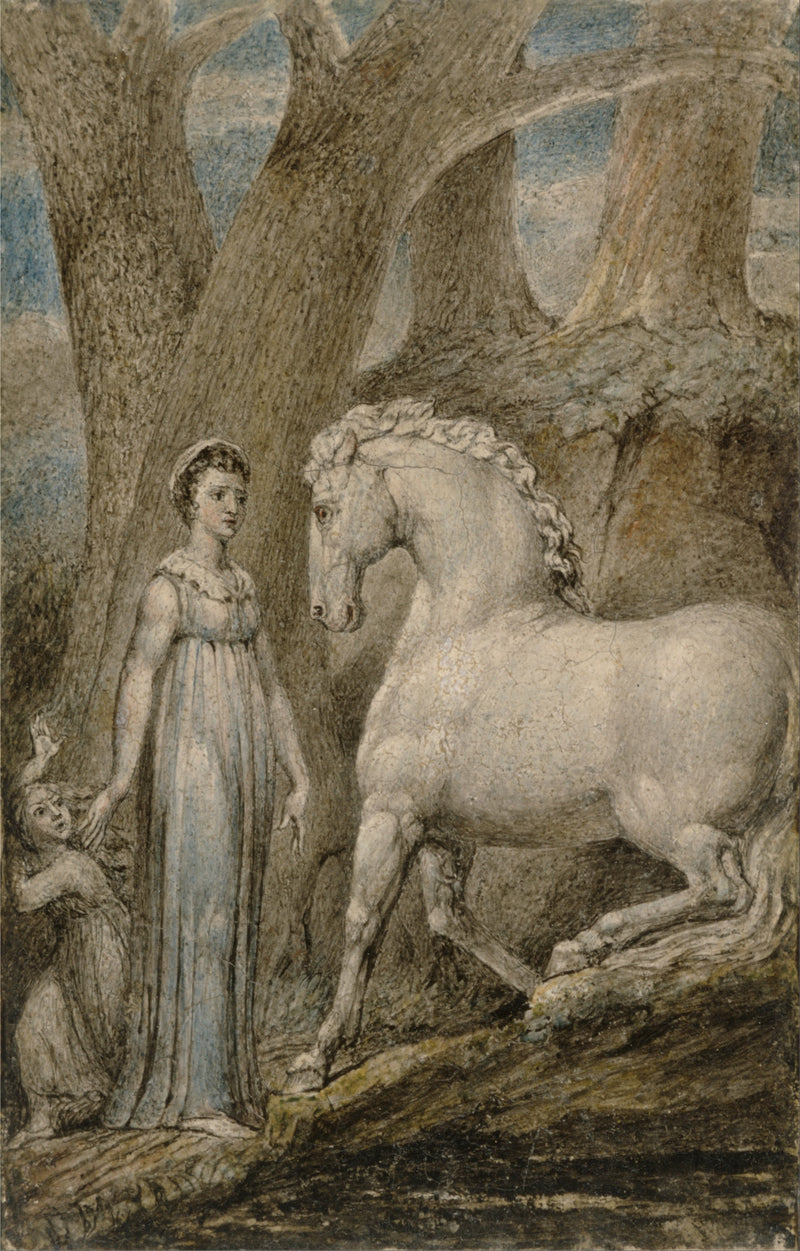 Het paard - William Blake