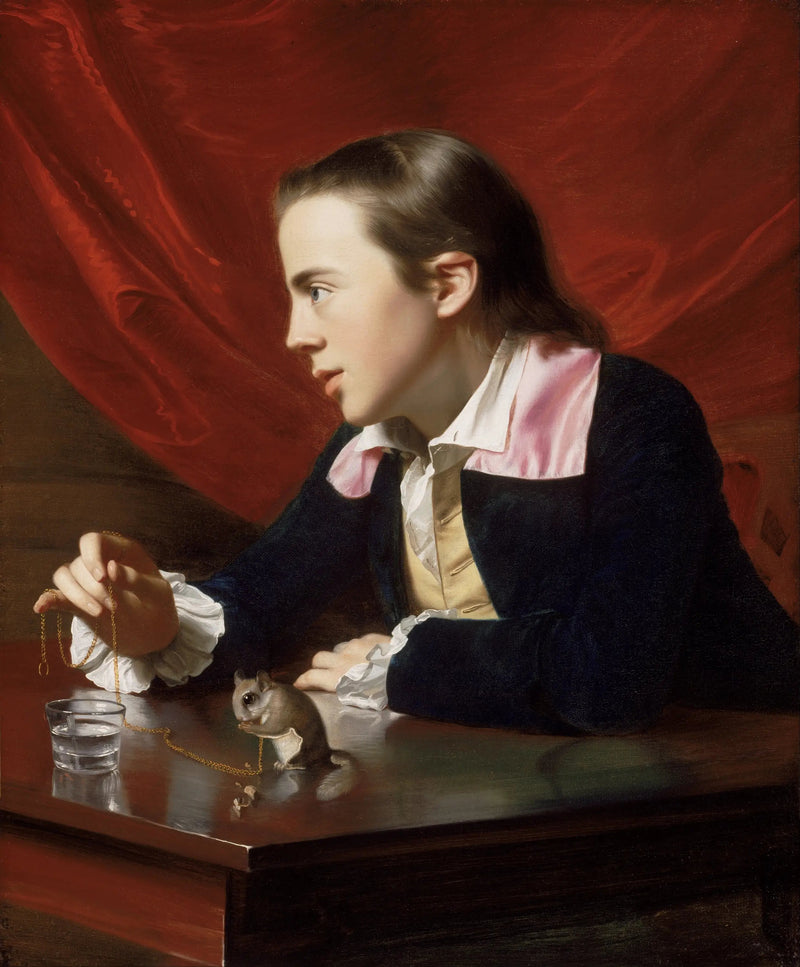 De jongen met eekhoorn - John Singleton Copley

Source:
Le Garçon à l'écureuil - John Singleton Copley