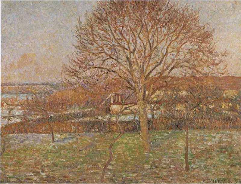 De Grote Notenboom, witte gelée, Éragny - Camille Pissarro