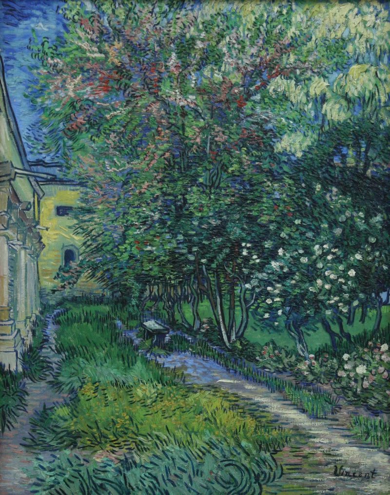 De tuin van het gesticht van Saint-Rémy - Vincent van Gogh
