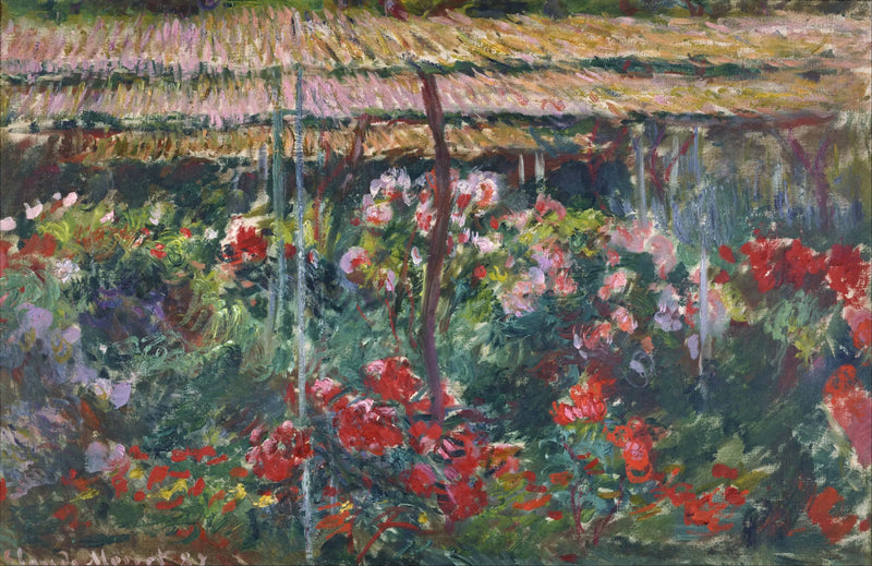 De tuin van de pioen - Claude Monet