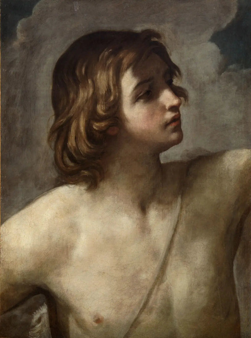 De jonge David - Guido Reni