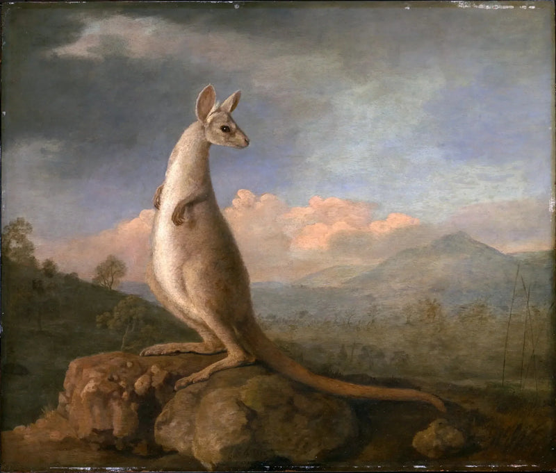 De Kongouro van Nieuw-Holland - George Stubbs

Source:
Le Kongouro de New Holland - George Stubbs