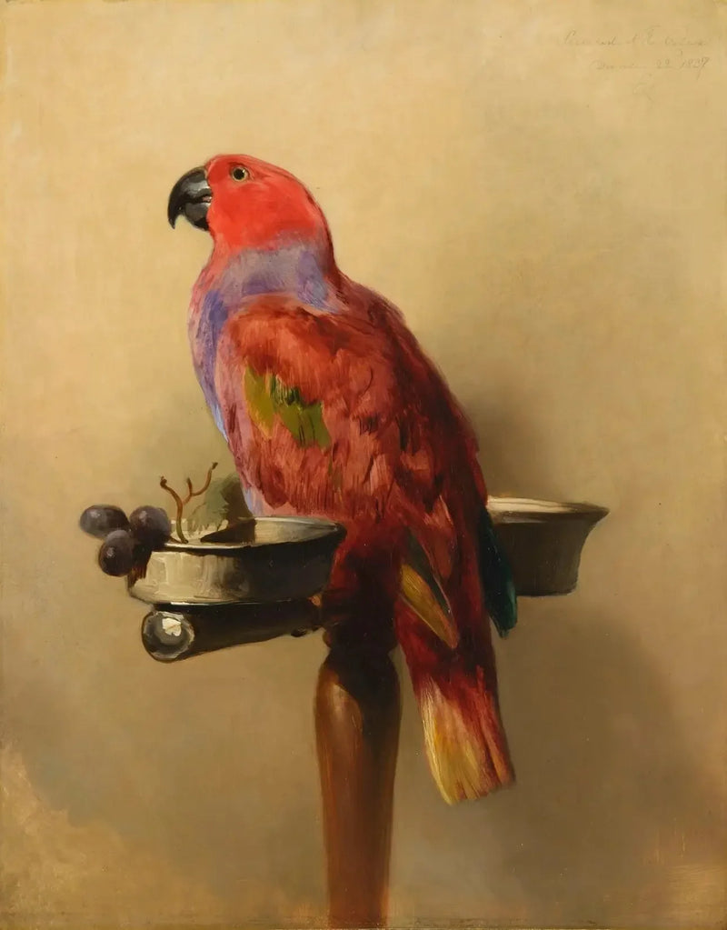 Le Lori - Edwin Henry Landseer

Source:
Le Lori - Edwin Henry Landseer