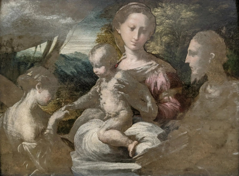 Het Mystieke Huwelijk van Sint-Catharina - Parmigianino