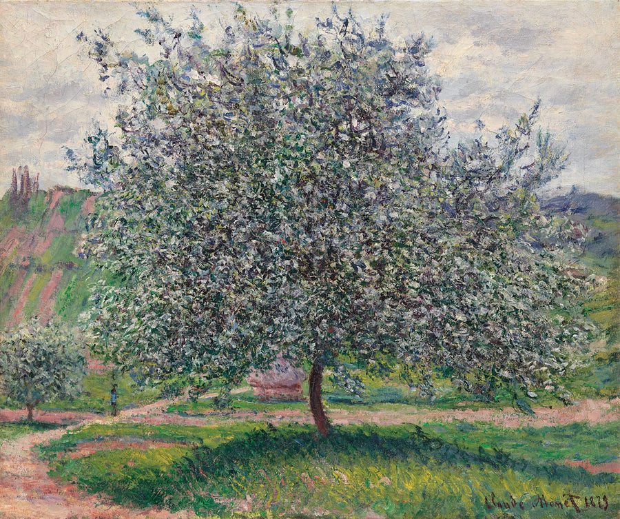 De appelboom W523 - Claude Monet