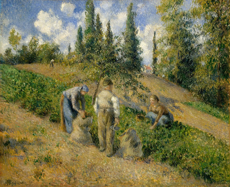 De Oogst, Pontoise - Camille Pissarro