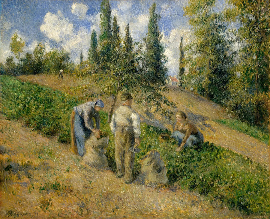 De Oogst, Pontoise - Camille Pissarro