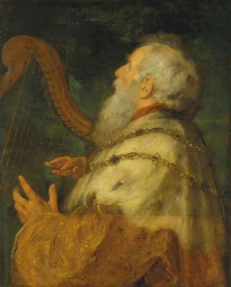 De koning David die op de harp speelt - Peter Paul Rubens