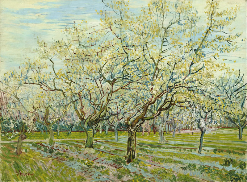 De witte boomgaard - Vincent van Gogh