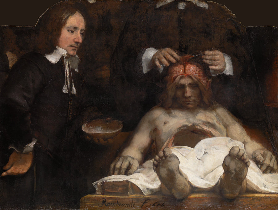 De Anatomieles van Dr. Joan Deyman - Rembrandt