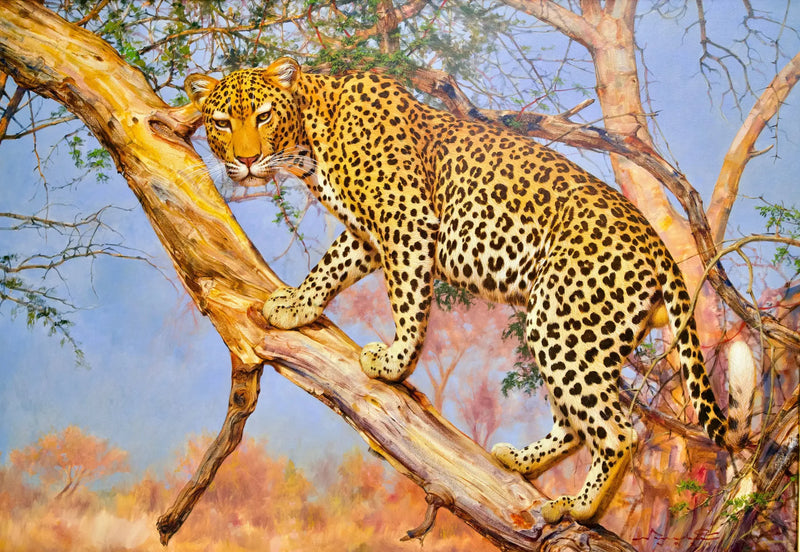 Luipaard in een boom | 150x100cm