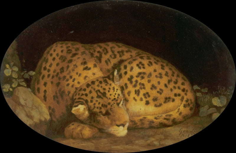 Slapende luipaard - George Stubbs

Source:
Léopard endormi - George Stubbs