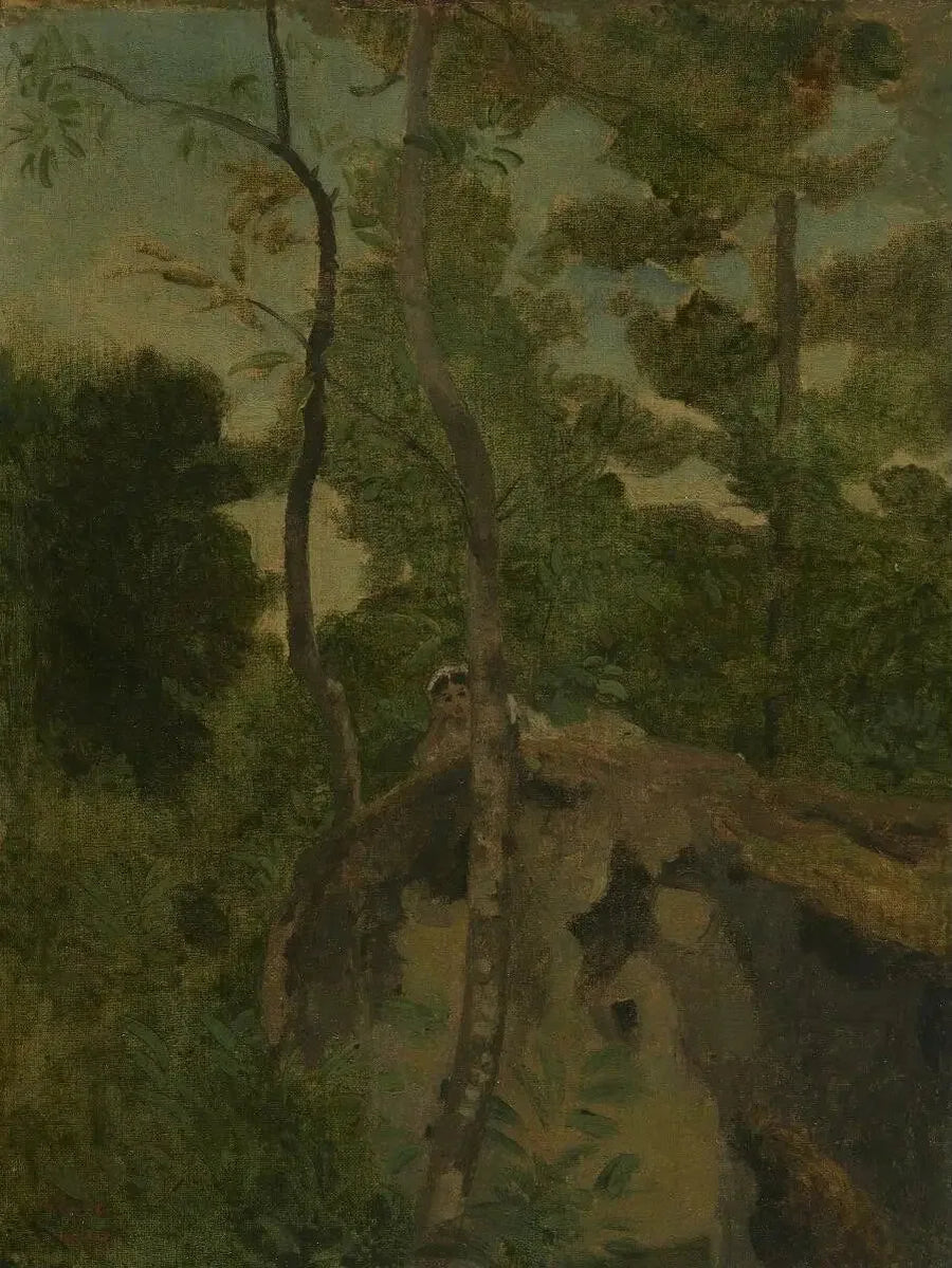 Les Alinges. Jonge vrouw liggend op een rots onder de bomen - Jean-Baptiste Camille Corot