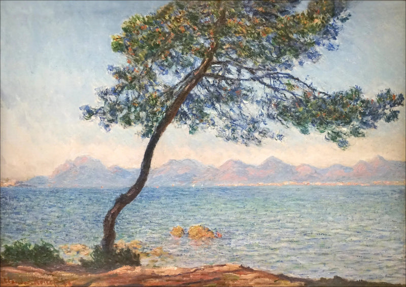 De antibacteriële middelen - Claude Monet