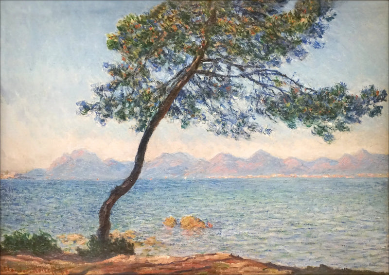 De antibacteriële middelen - Claude Monet