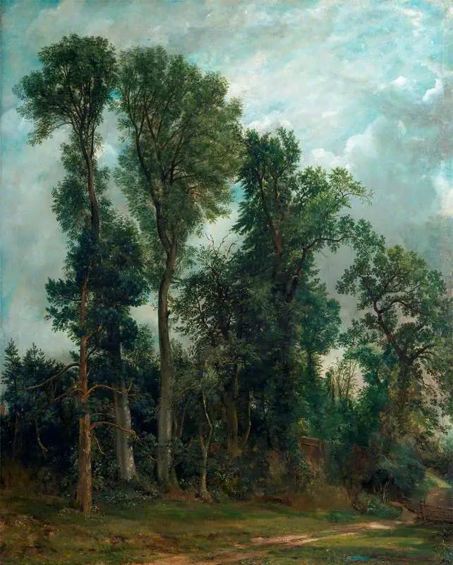 De bomen van Hampstead: de weg naar de kerk - John Constable