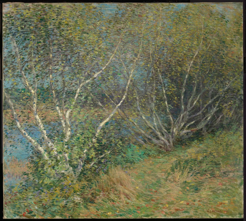 De berkenbomen - Willard Metcalf