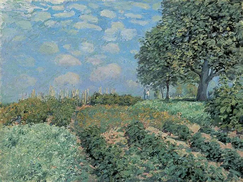 De velden - Alfred Sisley