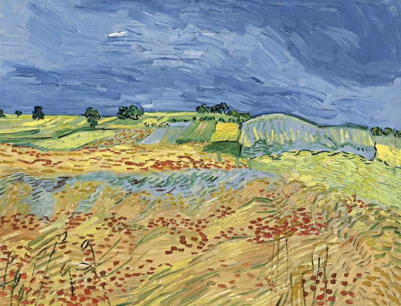 De velden - Vincent van Gogh