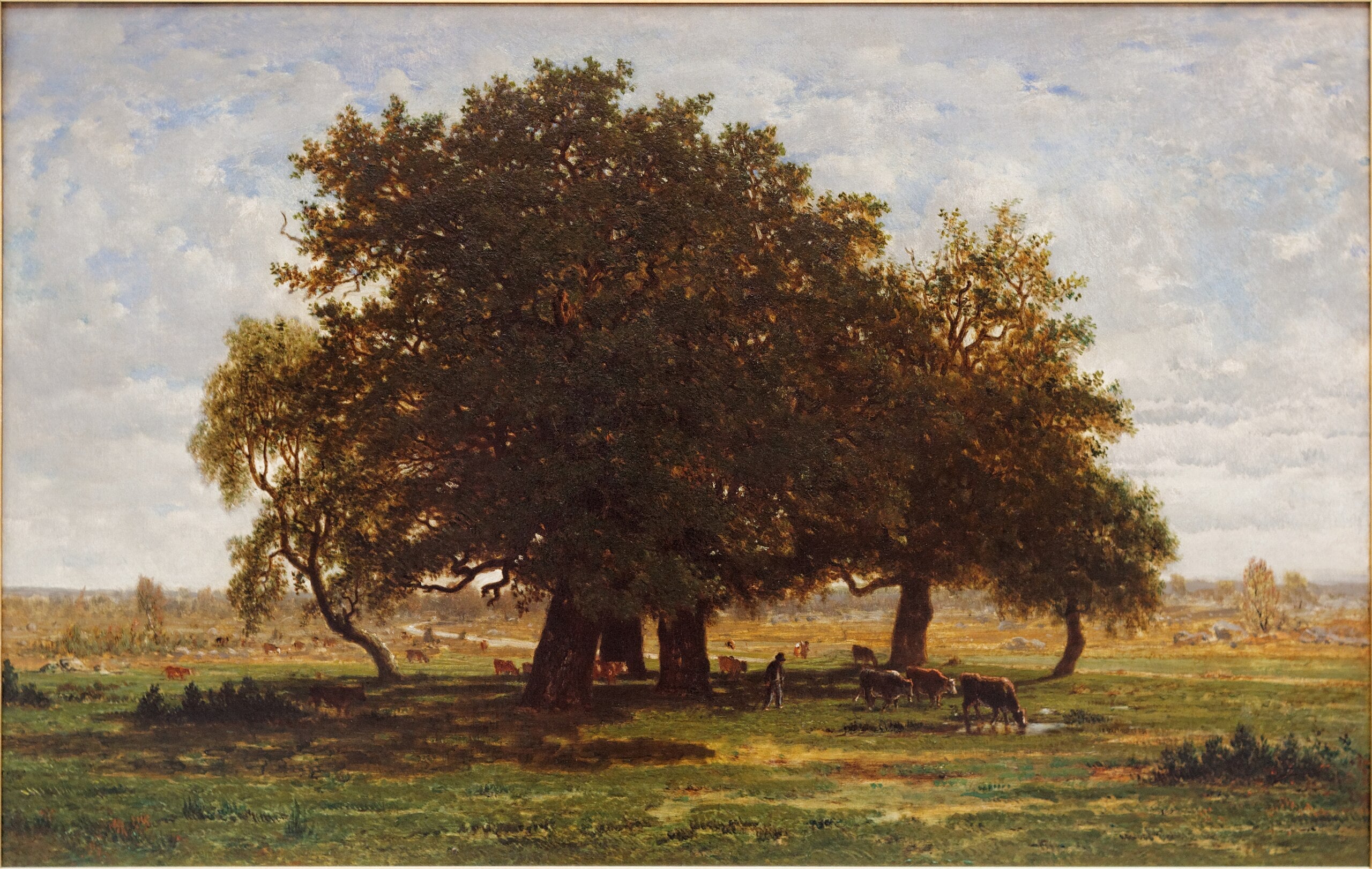 Les Chênes d'Apremont - Théodore Rousseau