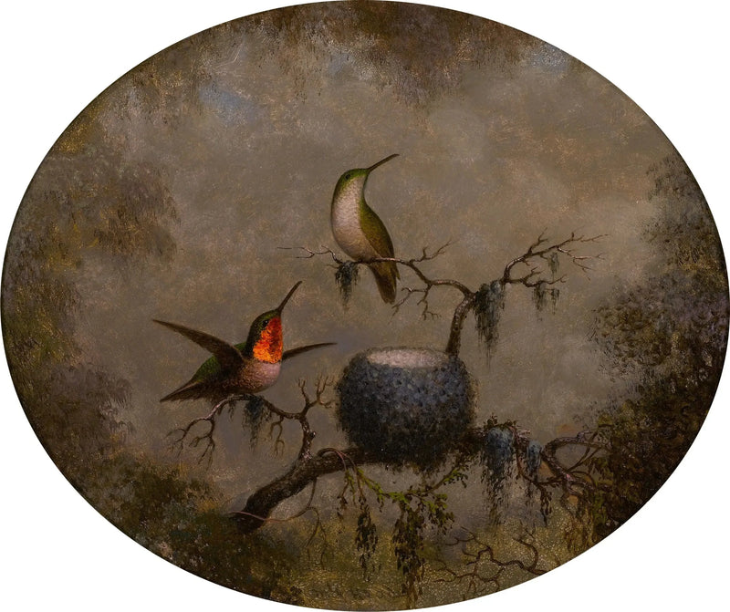 De kolibries en hun nest - Martin Johnson Heade

Source:
Les colibris et leur nid - Martin Johnson Heade
