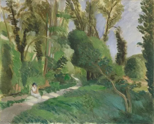 De Kloven van de Wolf - Henri Matisse