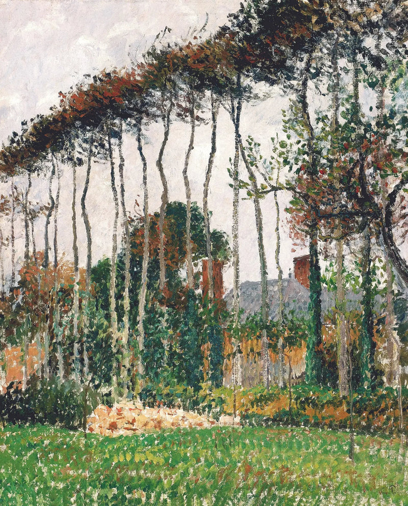 De grote beuken in Varengeville - Camille Pissarro