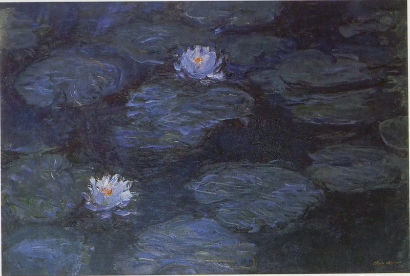 De waterlelies - Claude Monet