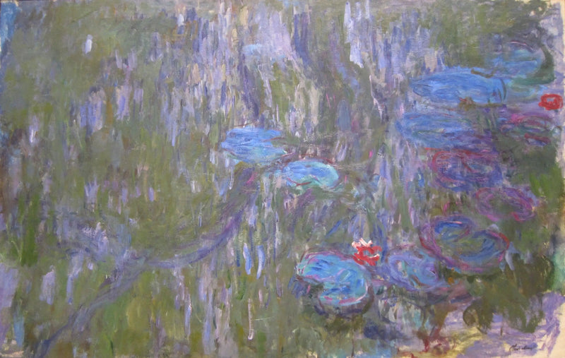 De waterlelies, de reflecties van de treurwilgen - Claude Monet